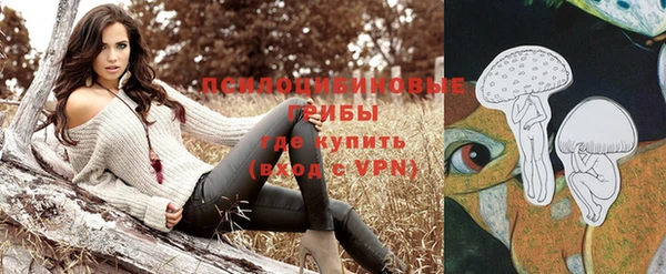 альфа пвп Вяземский