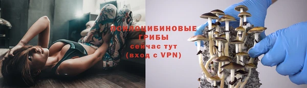 альфа пвп Вяземский