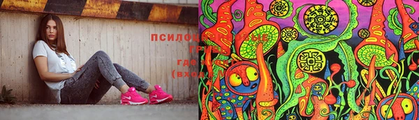 бошки Вязьма