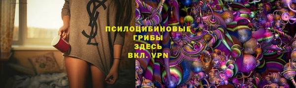 бошки Вязьма