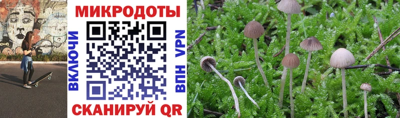 Купить где  Лесосибирск  Галлюциногенные грибы MAGIC MUSHROOMS 